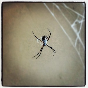 75198 10150843386175871 720450870 12598066 2094463436 n