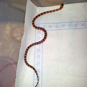 2012 05 19 18 47 11(2)