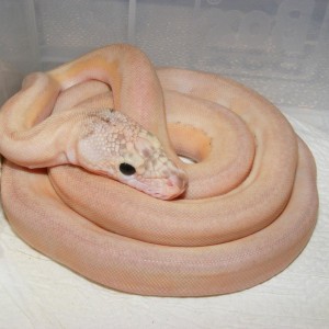 477381 420916121254966 100000097453497 1623922 1174304541 o