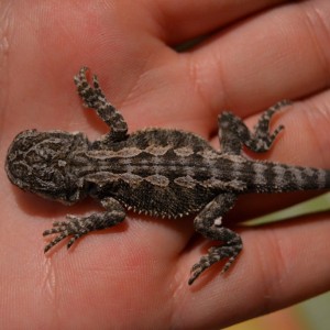 Otra wapa...o wapo ;P