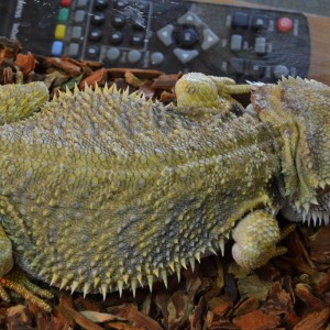 Mami luciendo amarillo