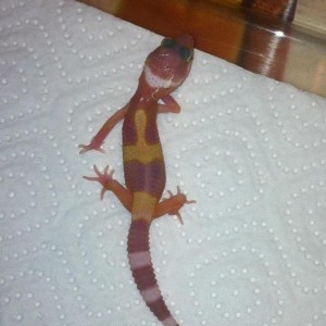 398436 529133643767217 1219087050 n