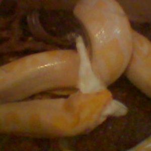 emili comiendo 2.jpg