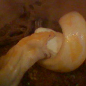 emili comiendo 3.jpg