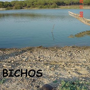 tortus malas 006.jpg