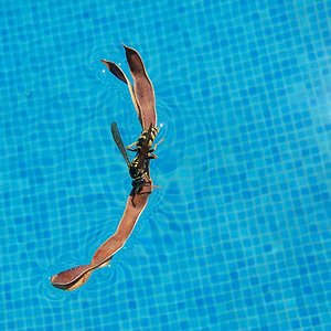 villa paula 29 junio 2005 061.jpg