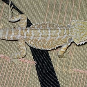 DSCN0990 (Medium).JPG