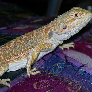 DSCN0993 (Medium).JPG