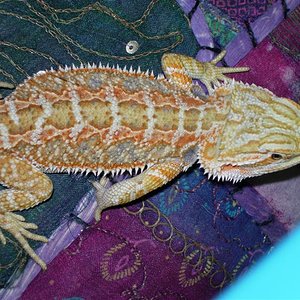 DSCN0995 (Medium).JPG