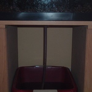 odesague (600 x 450).jpg