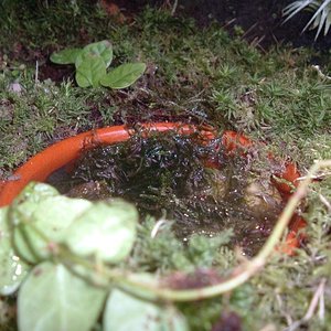 piscina (600 x 450).jpg