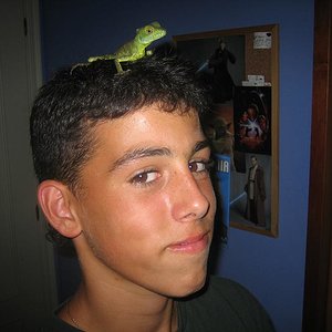 Copia de en mi cabeza basiliskus.jpg