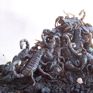 los crios al 16-07-04.JPG