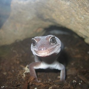 imagen 21-08-05 001.jpg