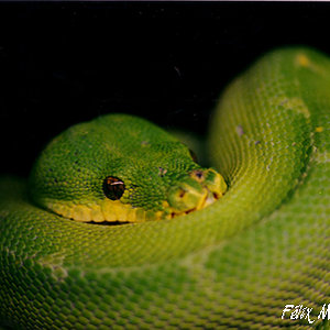 Naturaleza Misteriosa.jpg