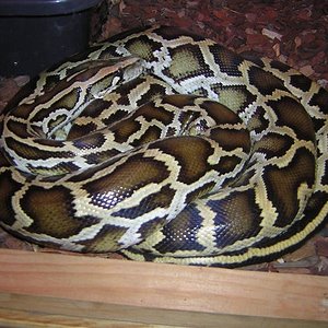 Imagen 047 (Medium).JPG