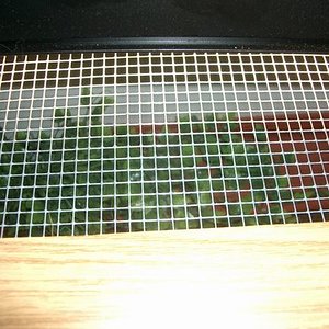 Hueco Sin Pantalla Terrario Superior 1.JPG