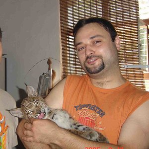 cabarceno con el lince.jpg