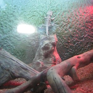 Copia de DSCN0438.JPG