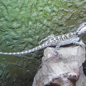 Copia de 9sept05_3.JPG