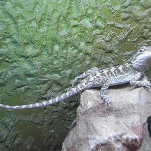 Copia de 9sept05_4.JPG