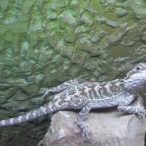 Copia de 9sept05_5.JPG