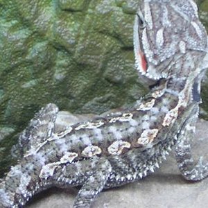 Copia de 9sept05_10.JPG