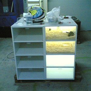 20092005 (Small).jpg