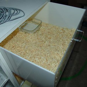 DSC08341 (Small).JPG