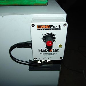 DSC08344 (Small).JPG