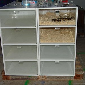 DSC08350 (Small).JPG