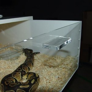 DSC08352 (Small).JPG