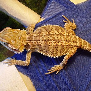 Septiembre2 '05 028 800x600.jpg