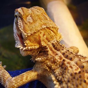 Septiembre2 '05 029 800x600.jpg