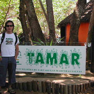 Entrada Tamar.JPG