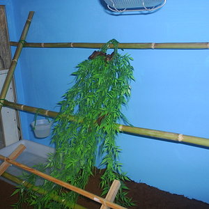 de todo un poco 278.jpg