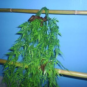 de todo un poco 279.jpg