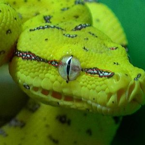 foto  de Ricardo.jpg