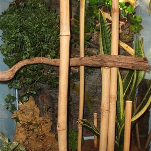 DSCF1101 (Medium).JPG