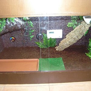 terrario.JPG