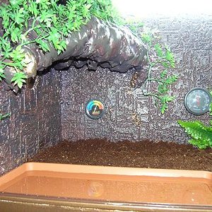 cueva en la zona fria.JPG