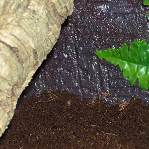 cueva en la zona caliente.JPG