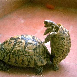 TRANKI Y TRONKO_035.jpg