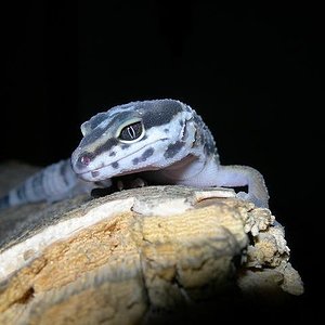 concurso noviembre.JPG