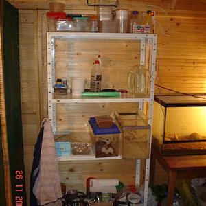 caseta ordenada 002 (Small).jpg