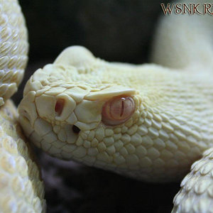 Imagen 424 (Large) copy1.jpg