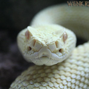 Imagen 430 (Large) copy1.jpg