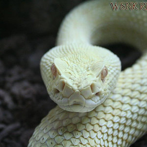 Imagen 431 (Large) copy1.jpg