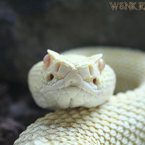 Imagen 432 (Large) copy1.jpg