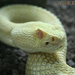 Imagen 433 (Large) copy1.jpg